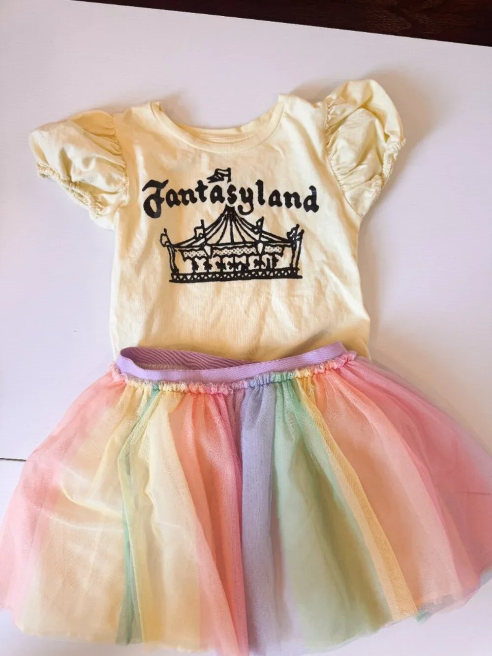 Disney Fantasyland Carousel T shirt‎ and rainbow skirt sister sets 8 & 10